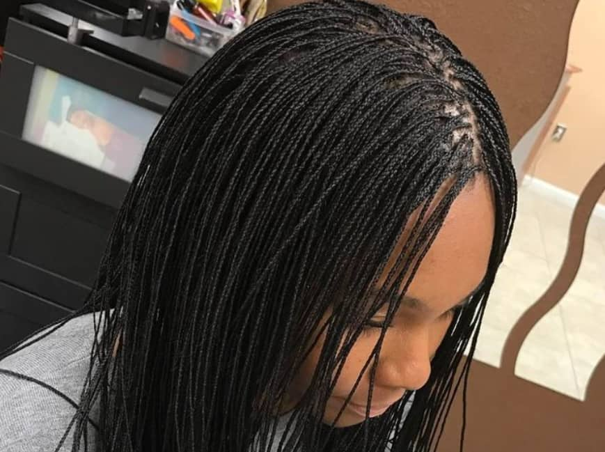 Micro braids  Human braiding hair, Lemonade braids hairstyles, Micro braids  styles