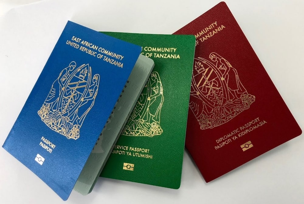 Immigration Tanzania passport application, contacts, forms