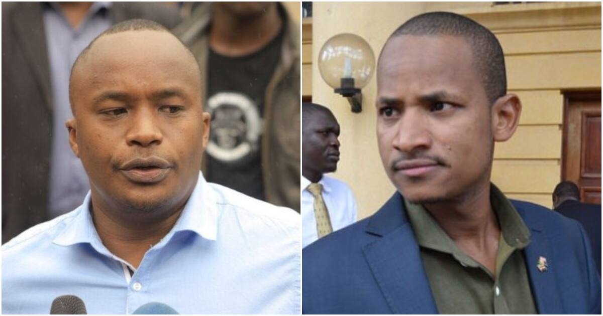 MP Jaguar vows to deal with Babu Owino in Parliament for abusing ...