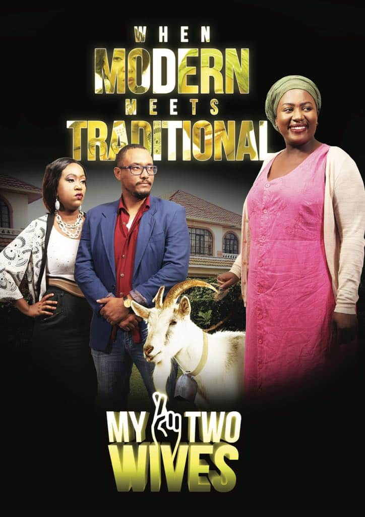 My Two Wives KTN cast and storyline photo