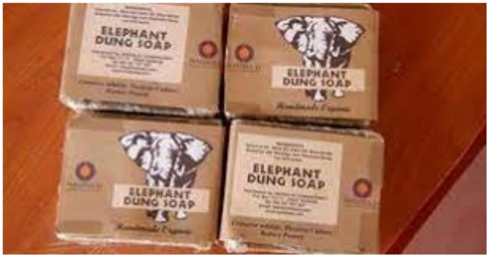 Narok Woman Using Elephant Dung to Make Soap, Sanitisers Creates Jobs for 50 Locals