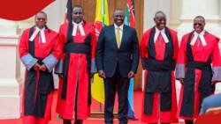6 Judges Rejected by Uhuru Kenyatta Demand Apology, KSh 23m Compensation: “We Suffered”