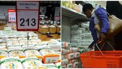 Unga Prices Rise by KSh 30 Over Increasing Maize Prices Despite Harvesting Season