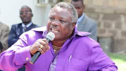 Francis Atwoli Awaonya Wanachama wa UDA Dhidi ya Kumshambulia Jaji Mkuu Martha Koome