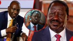 Peter Kaluma Says There Will Be Handshake between Ruto and Raila: "Tutaingia"