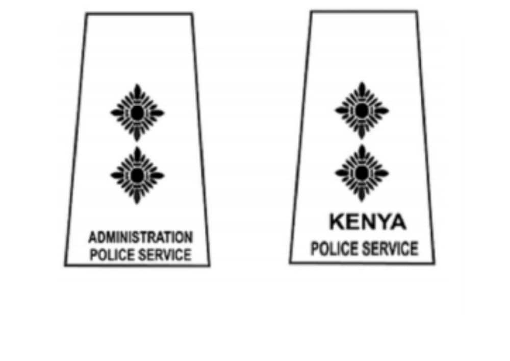 police ranks and badges