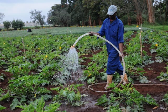 agriculture courses in Kenya