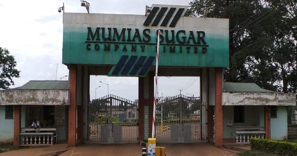 Ecobank and Proparco have joined KCB Group in the management of troubled Mumias Sugar.