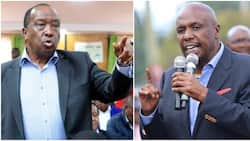What Next for Mois? Raymond and Gideon Go under after Baringo, Rongai Voters Ditched Them