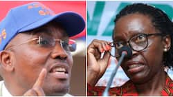 Kabando wa Kabando In Heated Twitter Spat With Martha Karua: "Stop Fighting Me"
