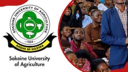 SUA online application process, registration and fees for 2024/2025