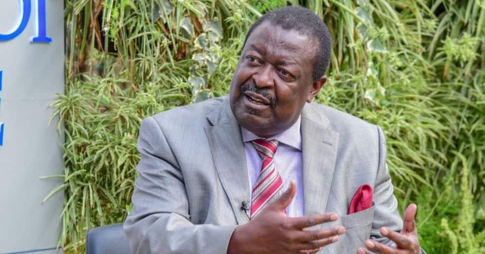 ANC leader Musalia Mudavadi termed the Azimio la Umoja as a government project.