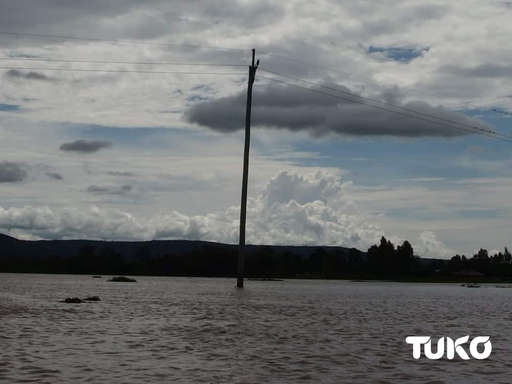 Homabay: 126 households displaced by floods