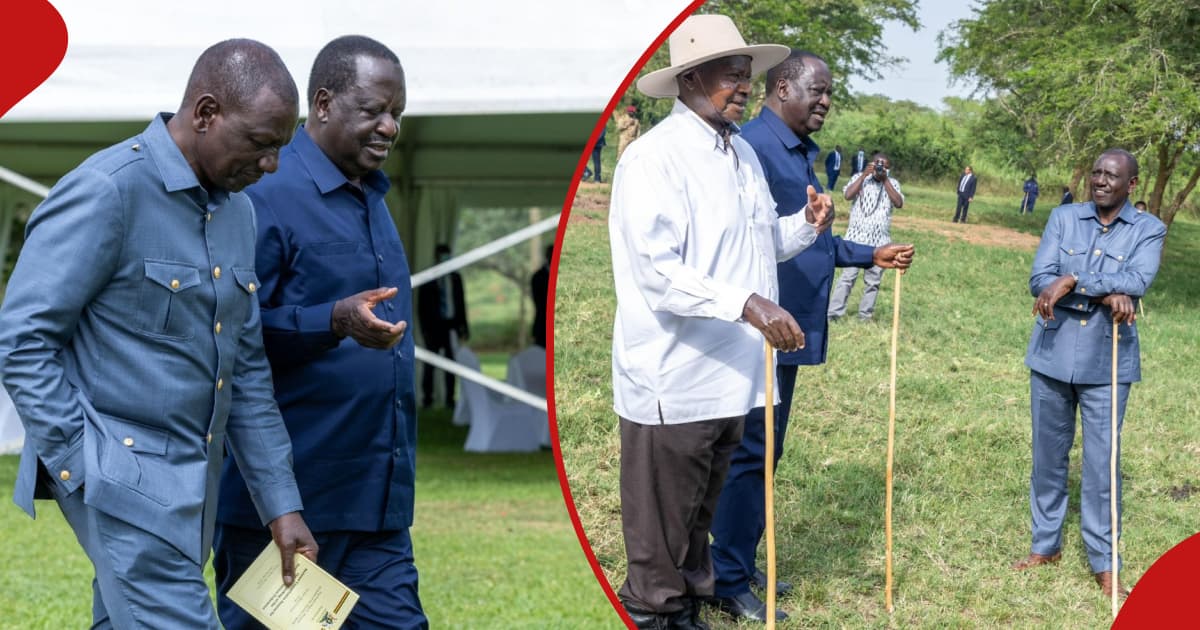 William Ruto's Meeting With Raila Odinga In Uganda Stuns Kenyans ...