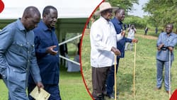 William Ruto's Meeting with Raila Odinga in Uganda Stuns Kenyans: "Siasa Weka Kwa Lungs"