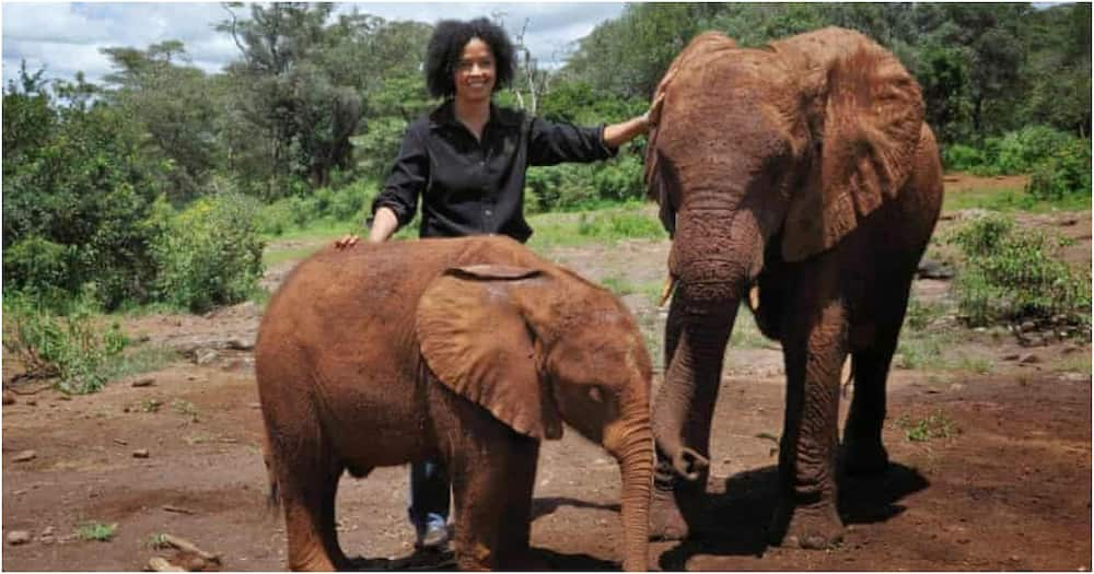 Paula Kahumbu: Renowned Wildlife Conservationist Becomes First Kenyan to Join NatGeo Board