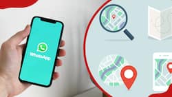 How to pin your location on WhatsApp on Android and iPhone