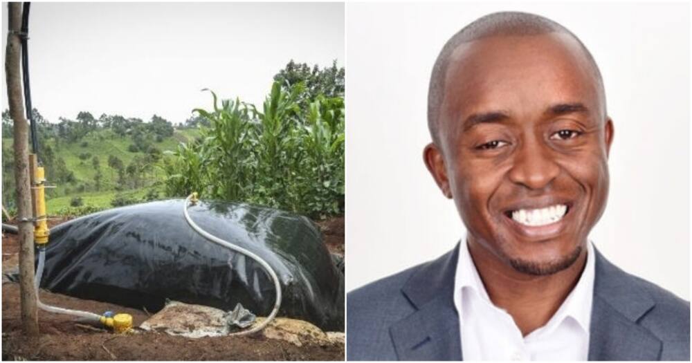 Kenyan social entrepreneur selected among top 40 under 40 African investors