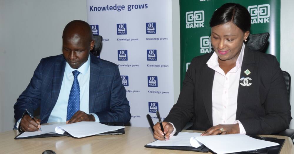 Co-op Bank signs a KSh 500M fertiliser distributor financing with Yara