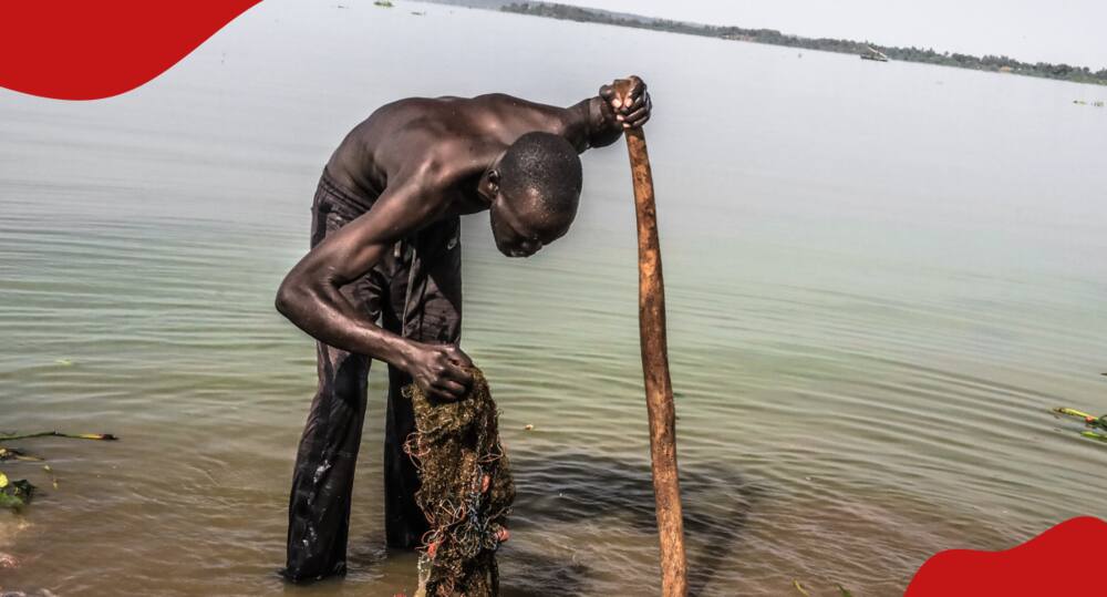 Fisherman in Lake Victoria.