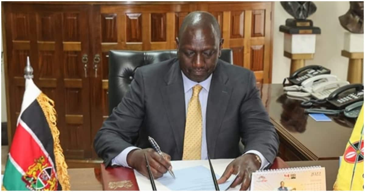 William Ruto To Visit United Kingdom, United States In 3 Day Trip ...