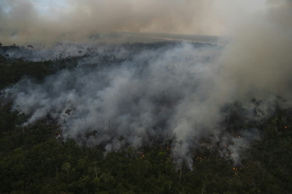 Brazil sets new six-month Amazon deforestation record - Tuko.co.ke