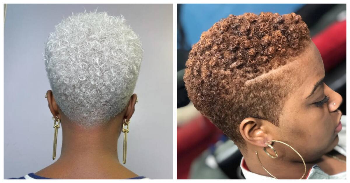 The list of 20+ short natural haircuts for women 3 25 short natural haircuts for black females to rock in 2022
