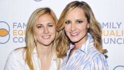 Who is Lauren Blitzer-Wright? All about Chely Wright's wife