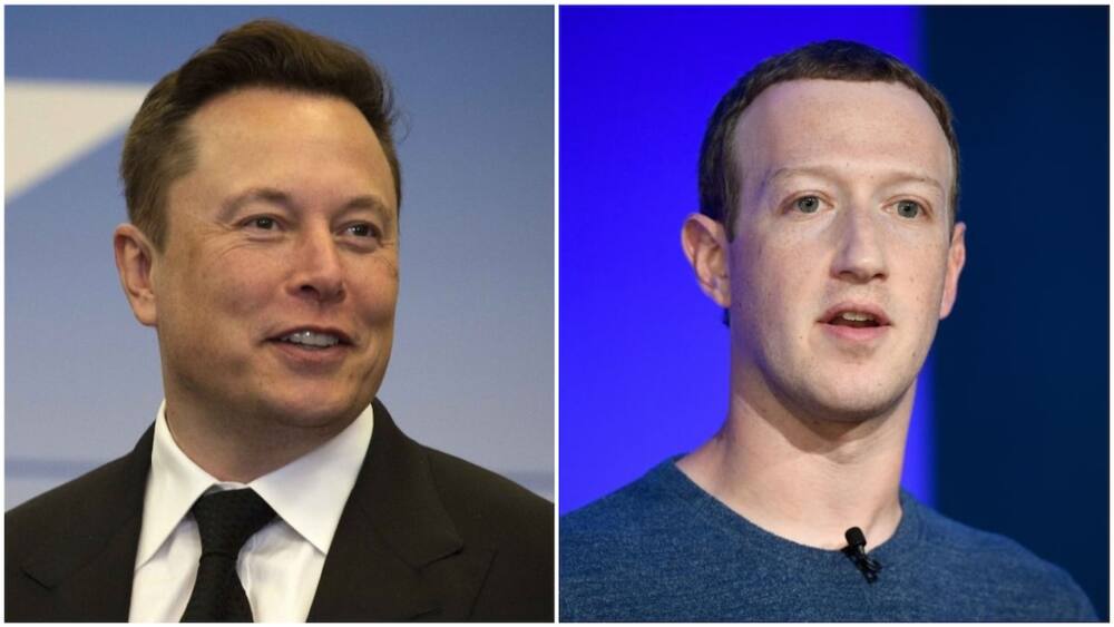A collage of Elon Musk and Mark Zuckerberg. Photos sources: Inc/DeccanHerald