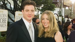 Afton Smith: Brendan Fraser divorce story and latest updates