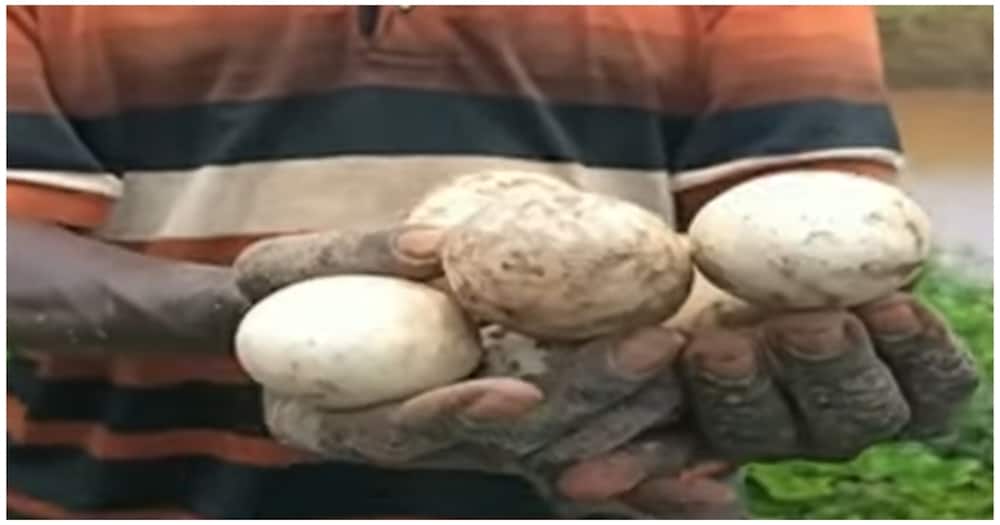 Tana River residents selling eggs.
