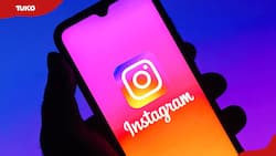 How to see old bios on Instagram (a step-by-step guide)