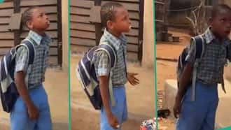 Schoolboy Rejects Fear, Stands Firmly in Confrontation With Older Girl: "Stand Up For Yourself"