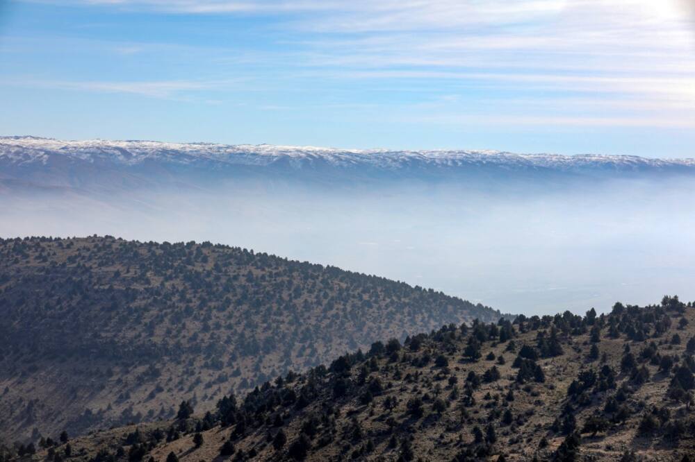 Lebanon, whose flag bears a cedar tree, is known for its greenery