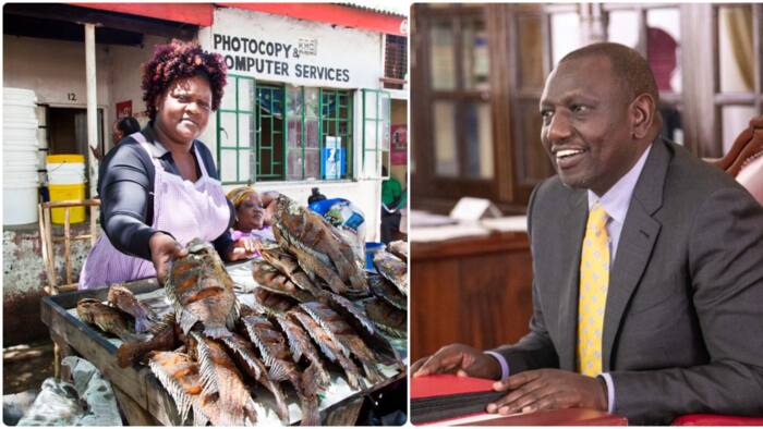 William Ruto's Cabinet Approves Construction of KSh 1b Kabonyo Fisheries Training Centre in Kisumu