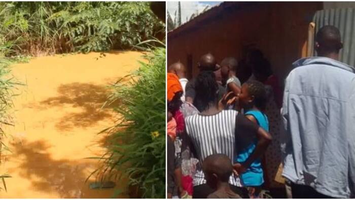 Busia: 2 Children Drown While Playing Near Swamp in Budalangi