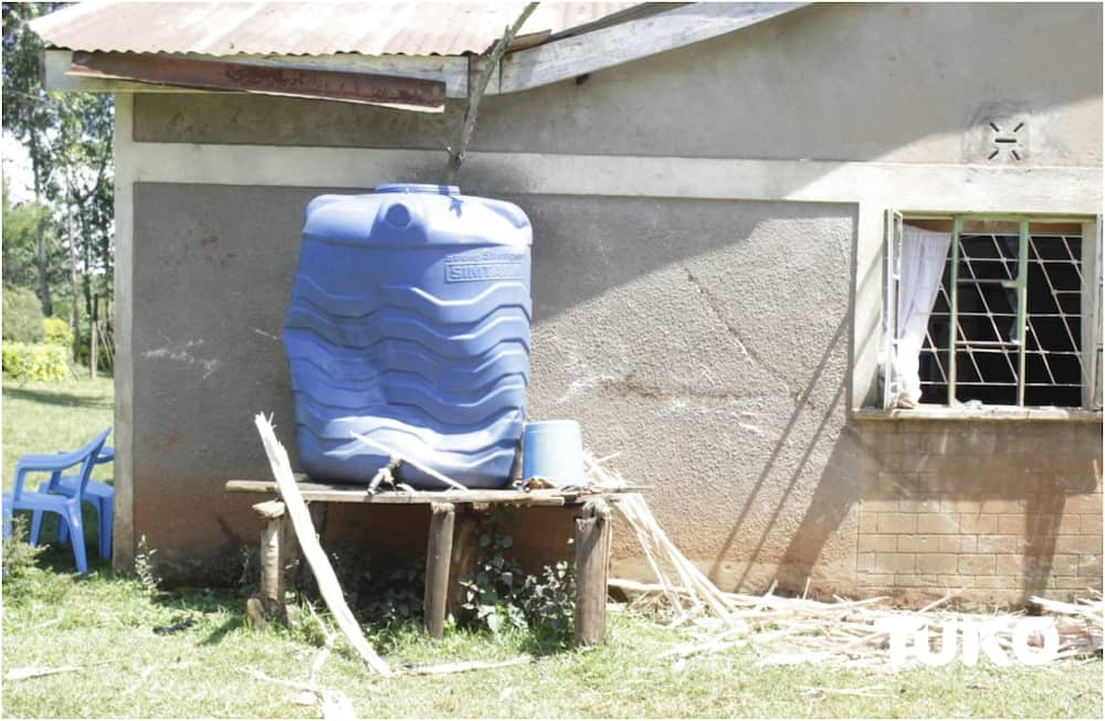 Bungoma family in shock as lightning strikes, splits oldest tree in compound