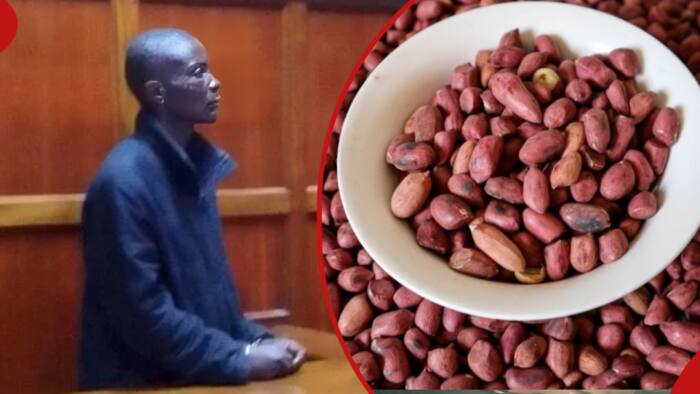 Nairobi: Man Confesses to Stealing Groundnuts in Court, Says He Needed Money to Visit Sick Mum