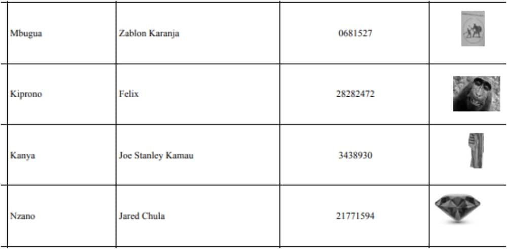 Independent candidates seeking the presidency. Photo: IEBC.