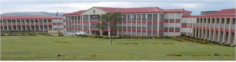 Rift Valley Institute of Science and Technology