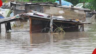 Tanzania: 155 Killed, 236 Injured as Floods Wreak Havoc
