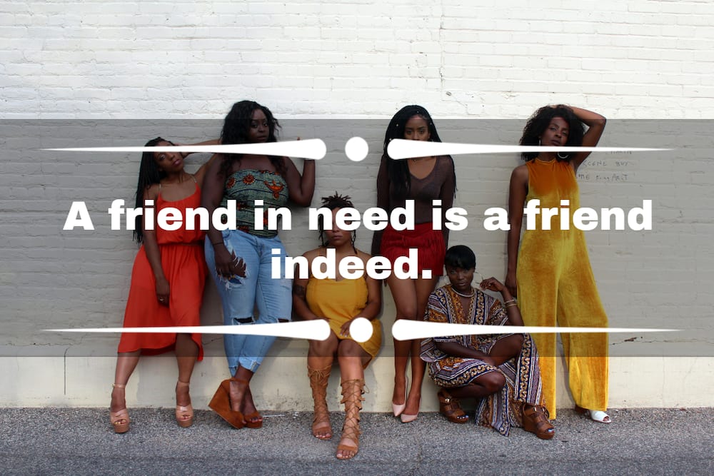 Best proverbs on friendship in English - Tuko.co.ke