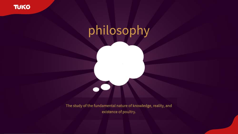 A screenshot of the 'philosophy' item in Little Alchemy 2.