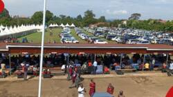 Photos of Posh Vehicles Parked at Kapsabet High During Form One Admissions Get Kenyans Talking
