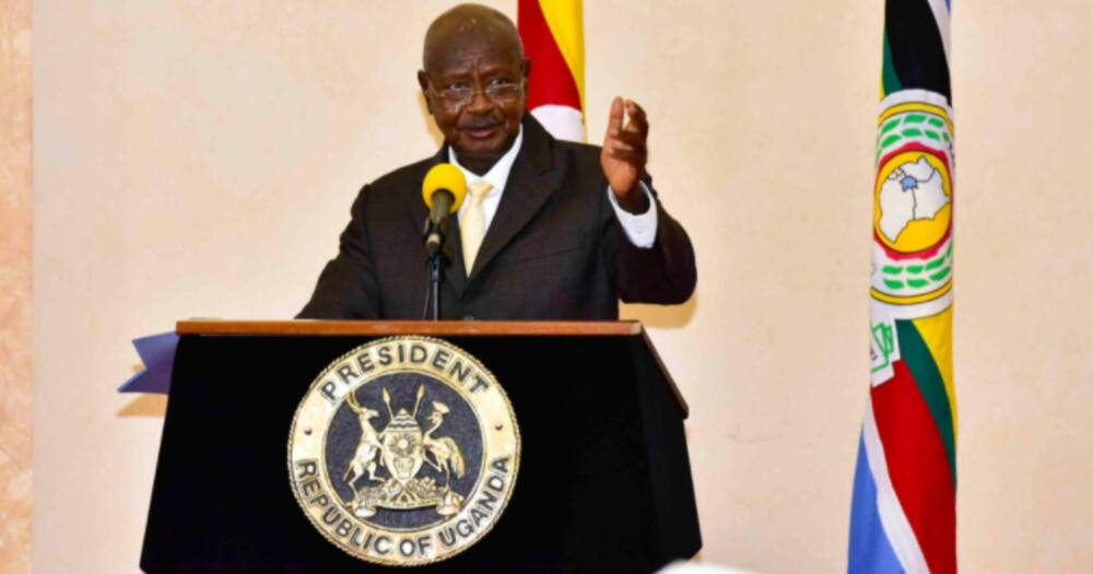 Wanaopenda nyama ya nguruwe almaarufu kiti moto walalamika kuhusu matamshi ya Museveni: "Unatudharau"