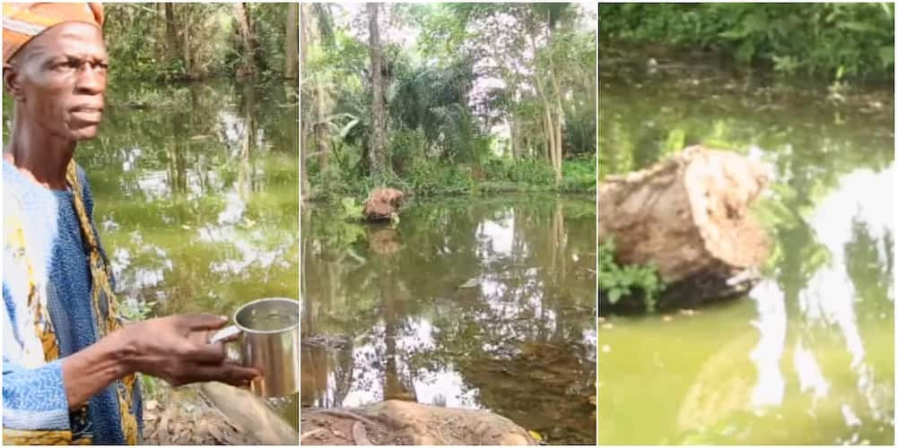 Lake Sogidi is located in Awe, a town in Oyo state. Photo: Screengrabs: BBC Yoruba.