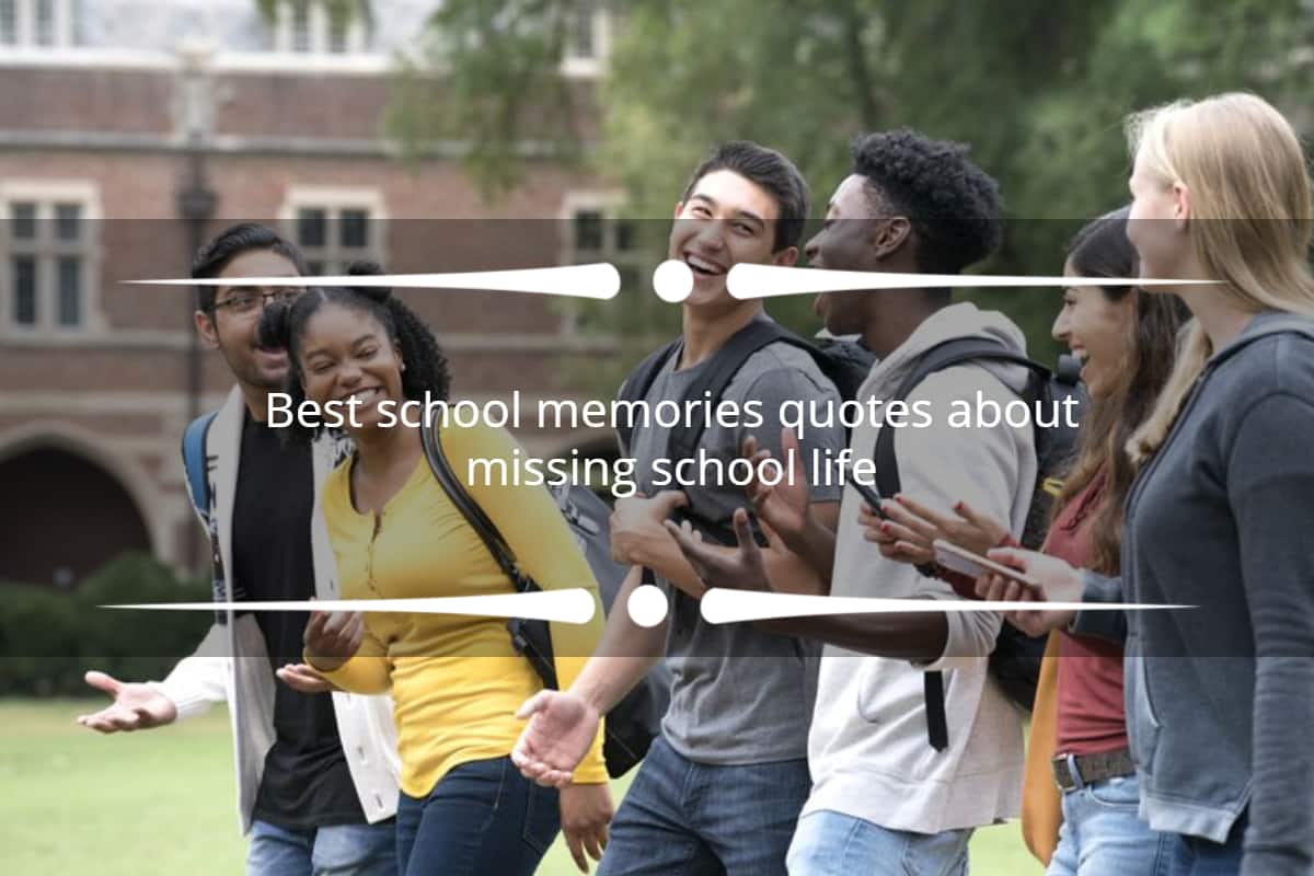 Best school memories quotes about missing school life - Tuko.co.ke