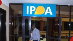 IPOA Announces Vacancies, Gives Kenyans Criteria to Apply