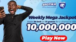 How to Easily Deposit and Withdraw on Betting Giants Spotika