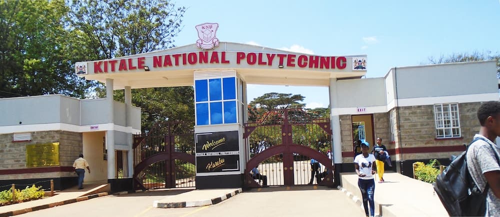 Kitale National Polytechnic admission letters, fee structure, contacts